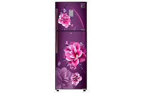 Double_Door_Refrigerator